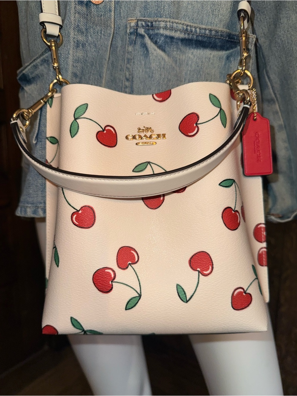 Coach Mollie Bucket Bag 22 with Heart Cherry Print